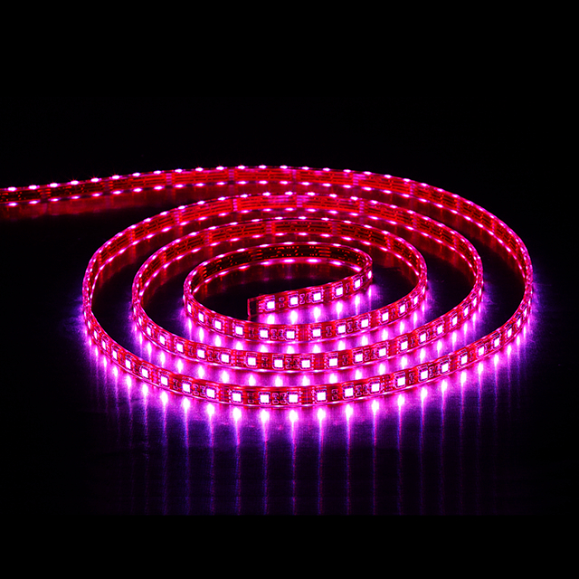 Constant Current RGB Led Strip Light Manufacturer