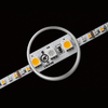 SMD5050 tooth Color Changing Led Strip Light