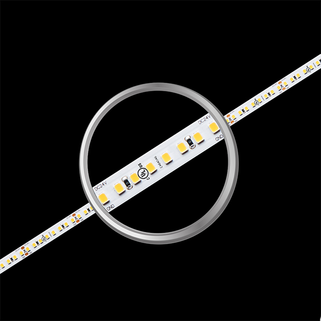 SMD2835 160LEDs 19.2W High Efficiency Led Strip Light